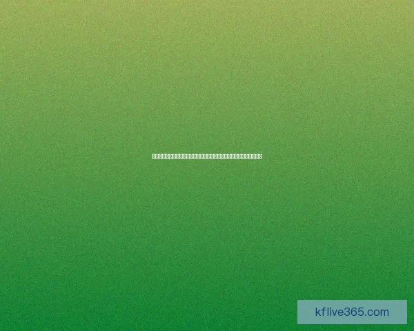 世界杯赛事分析竞猜参与技巧解析与热门赛事竞猜参与技巧分享数据研判